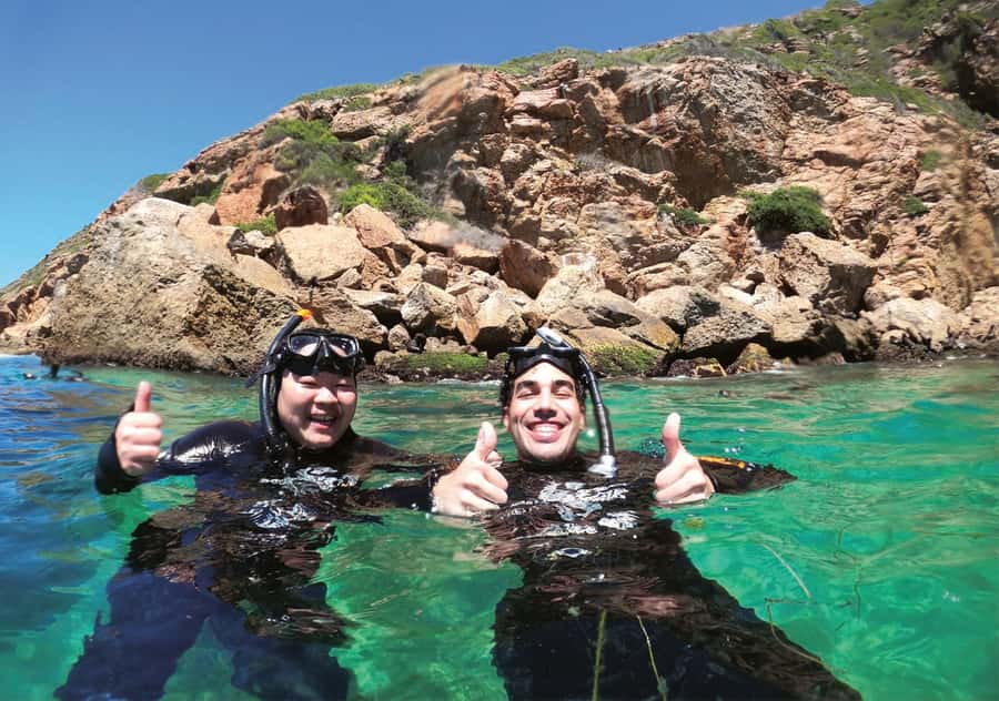 Plettenberg Bay: Swim with the Seals - Your 30-minute snorkel session, how to keep it safe and respectful