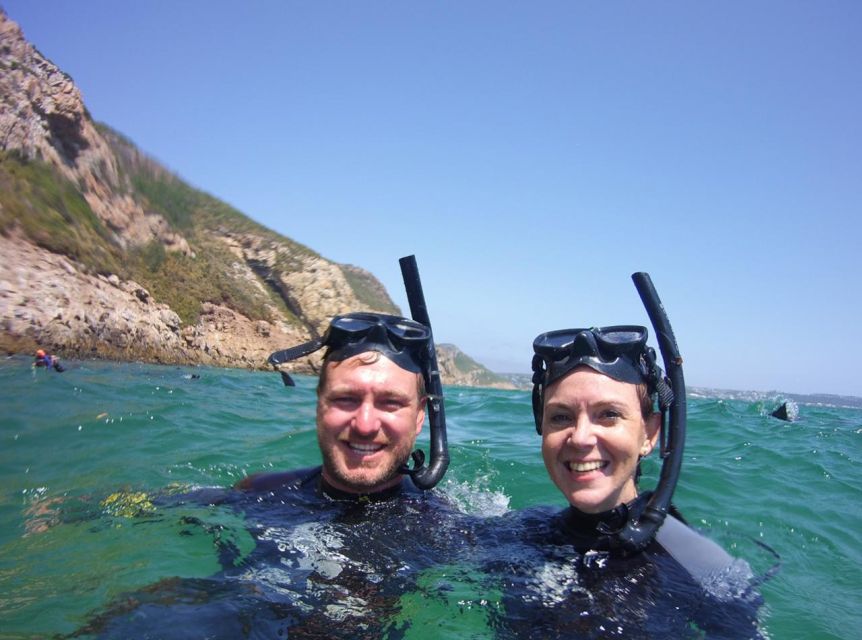 Plettenberg Bay: Swim with the Seals - The rabies update and the safety steps you should actually notice