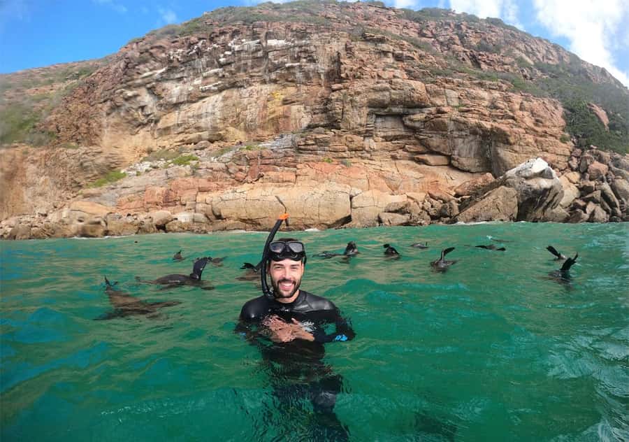 Plettenberg Bay: Swim with the Seals - After the swim, photos and the comfort details that matter