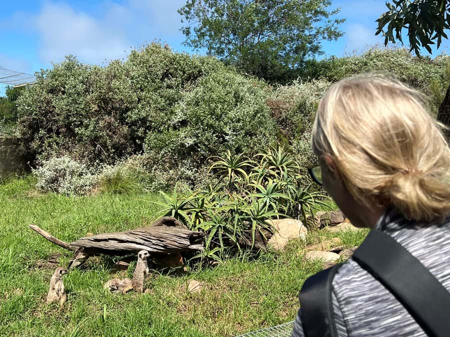 Plettenberg Bay: Wild Cat and Wildlife Guided Tour - A few practical tips before you go