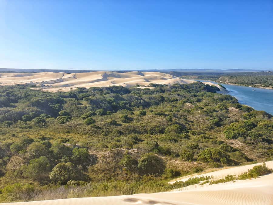 Port Elizabeth: 2-Day Addo Elephant Park Safari - Day 2: giraffe tracking on foot, what to expect when you get close