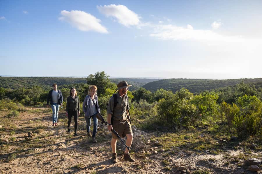 Port Elizabeth: 2-Day Addo Elephant Park Safari - Meals, 4-star sleep, and why the guide names matter