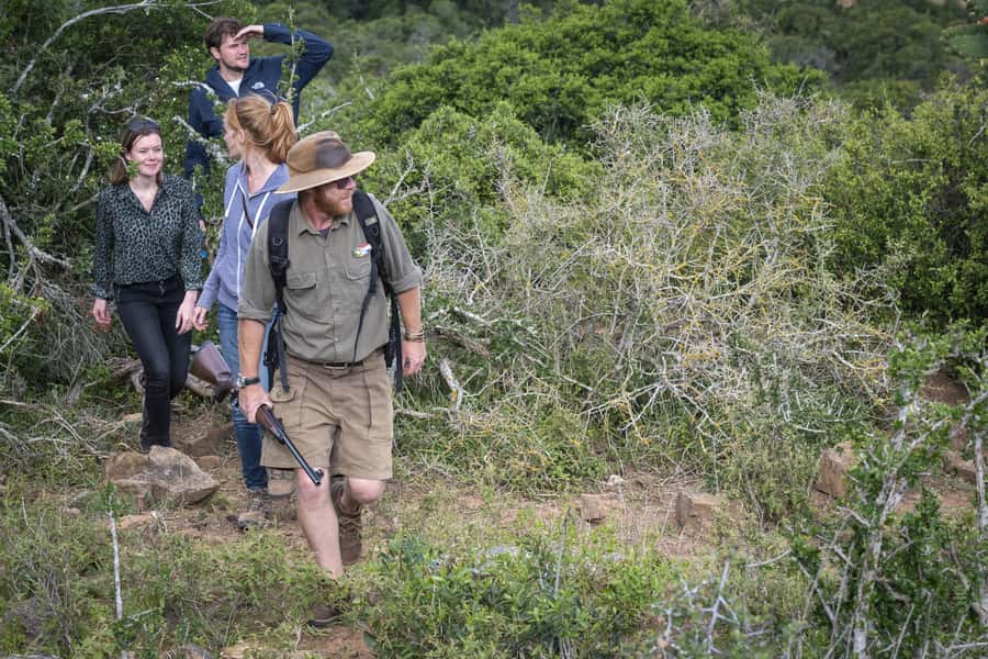 Port Elizabeth: 2-Day Addo Elephant Park Safari - Price of $597 per person: where the money actually goes