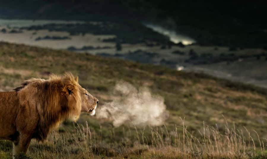 Port Elizabeth: 2-Day Addo Elephant Park Safari - Sunday’s River cruise and the Alexandria Dune Field dune tour