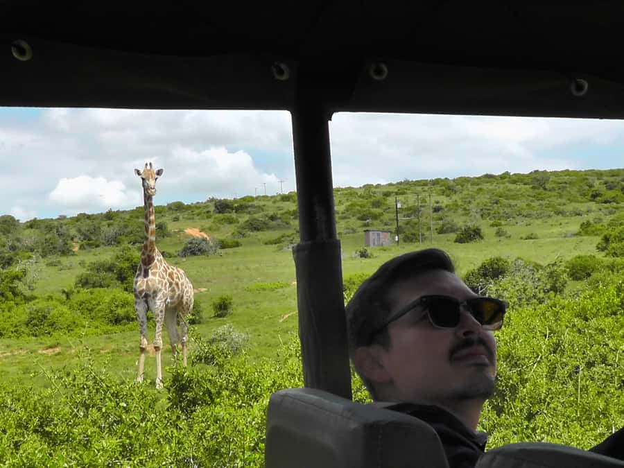 Port Elizabeth:2-Day Schotia Safaris & Addo Wildlife Reserve - How This 2-Day Safari Works, From Port Elizabeth to the Bush