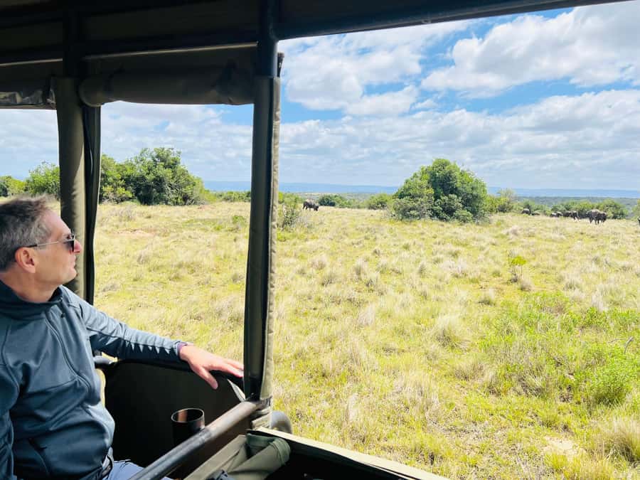 Port Elizabeth: 3-Day Addo Elephant National Park Safari - Day one warm-up: the sunset safari and the private-reserve feel