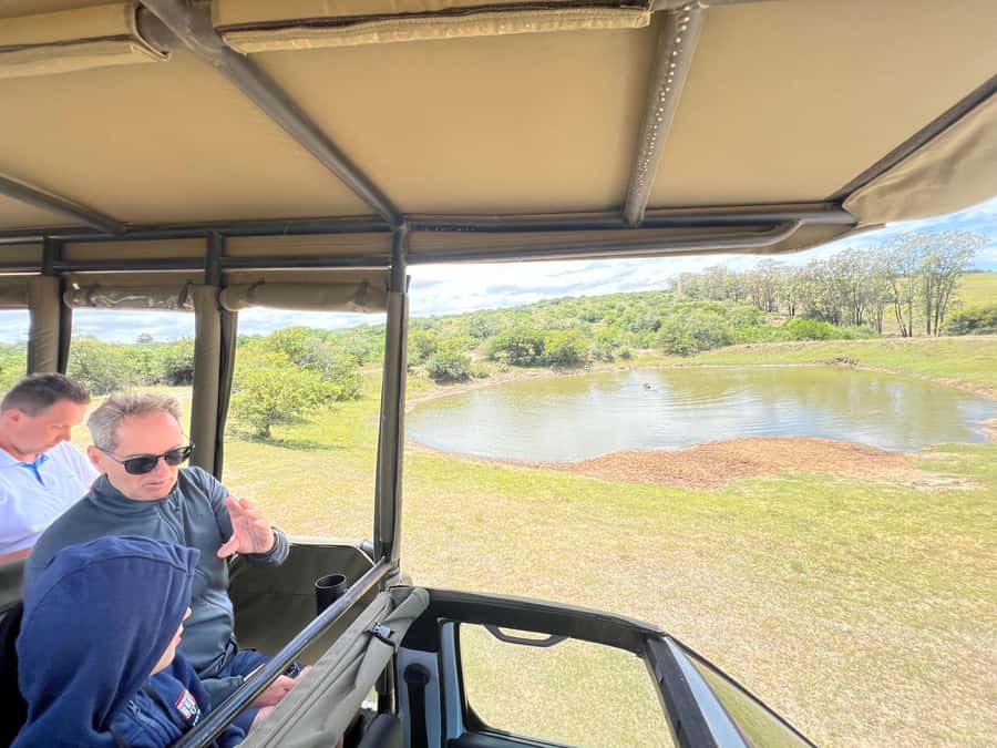 Port Elizabeth: 3-Day Addo Elephant National Park Safari - Schotia Private Game Reserve at sunset, where Big Five chances rise