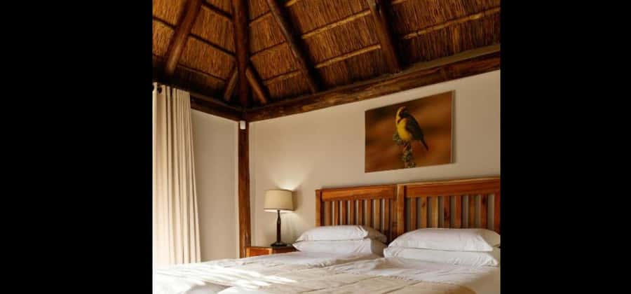 Port Elizabeth: 3-Day Addo Elephant National Park Safari - What the three game drives really buy you
