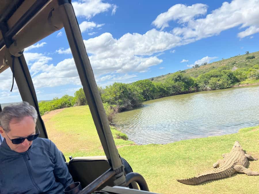 Port Elizabeth: 3-Day Addo Elephant National Park Safari - Luxury lodge nights that keep the whole trip comfortable