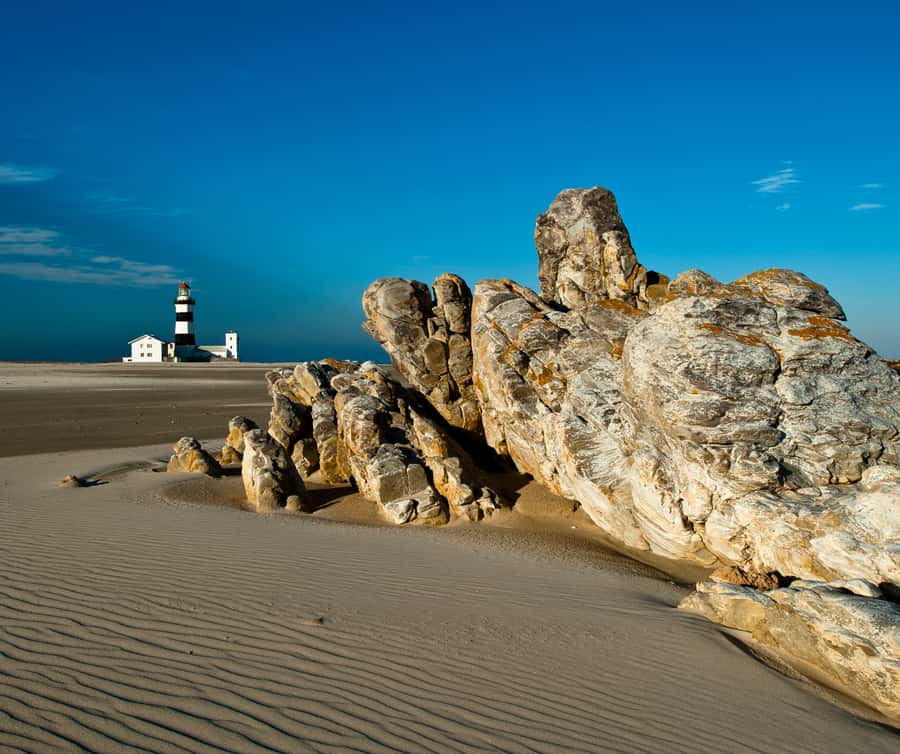 Port Elizabeth: 4x4 Wildlife Safari & City Sightseeing Tour - Key Points to Know Before You Go