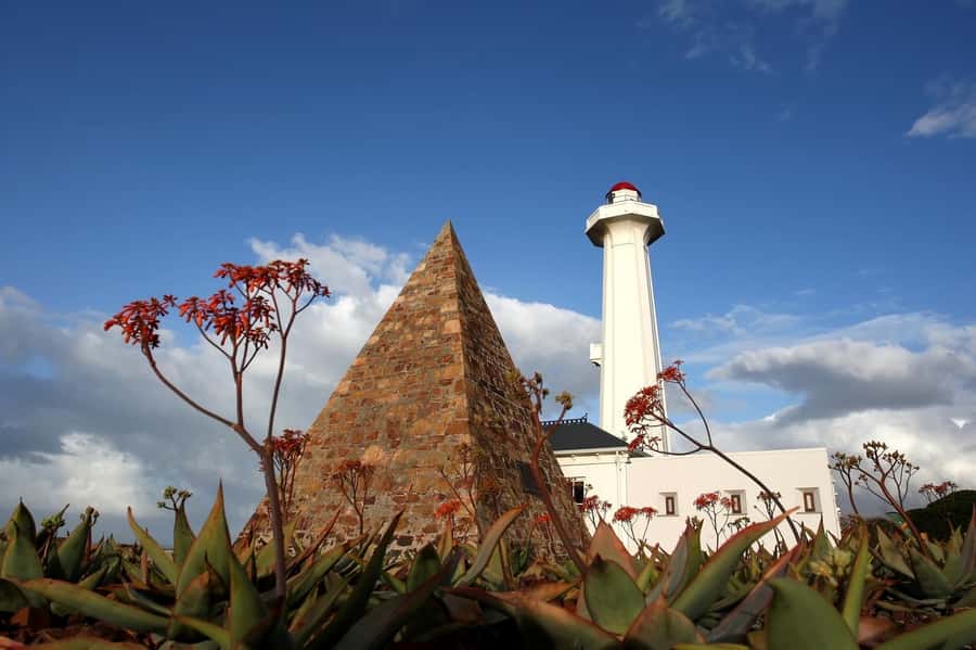 Port Elizabeth: 4x4 Wildlife Safari & City Sightseeing Tour - Donkin Reserve and the 1820 Settlers Pyramid: More Than a Photo Stop