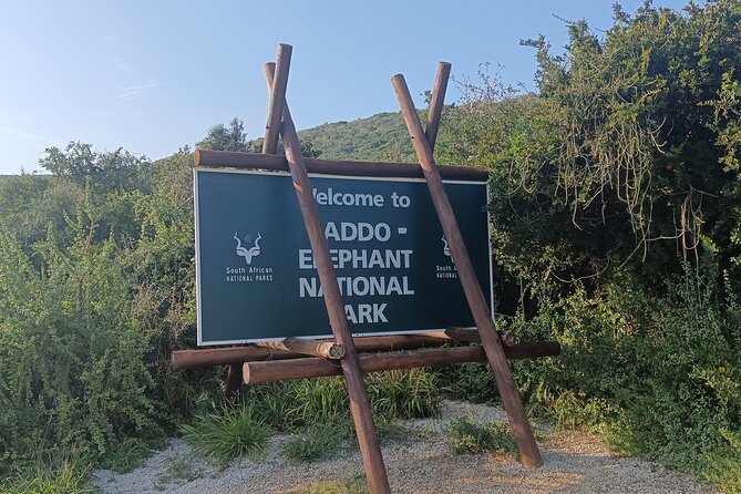 Port Elizabeth Addo Elephant National Park All Inclusive Safari - North Section game drive after lunch: how the second half feels different