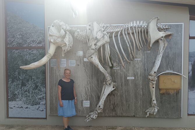 Port Elizabeth Addo Elephant National Park All Inclusive Safari - Practical tips so you enjoy the full 8 hours