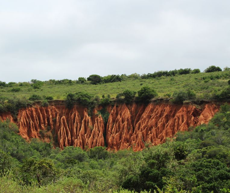 Port Elizabeth: Addo Elephant Park Shore Excursion with BBQ - Traditional braai lunch at a cultural lapa: more than fuel