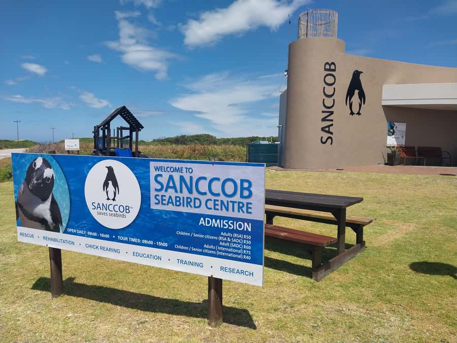 PORT ELIZABETH CITY TOUR - Cape Recife Lighthouse: the coastal “wow” that stays practical