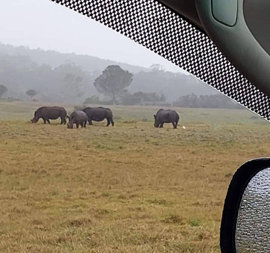 Port Elizabeth:Kragga Kamma Private game reserve safari - Coastal forest and grasslands: why Kragga Kamma works even in a compact reserve