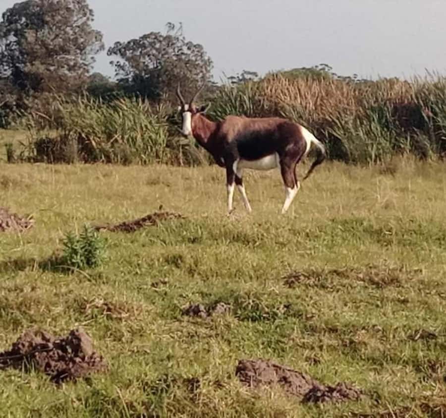 Port Elizabeth:Kragga Kamma Private game reserve safari - What to pack and how to stay comfortable