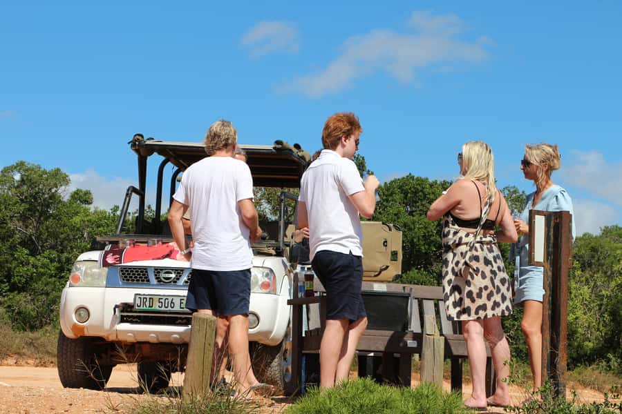 Port Elizabeth: Schotia Private Game Reserve Safari - The Open Safari Vehicle: Why It Changes Your Viewing