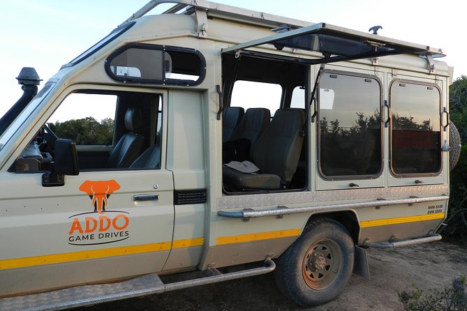 Port Elizabeth Shore Excursion: Addo Elephant Full Day Safari &"Braai"Lunch(BBQ) - Afternoon drive until 16h00: more chances, less certainty