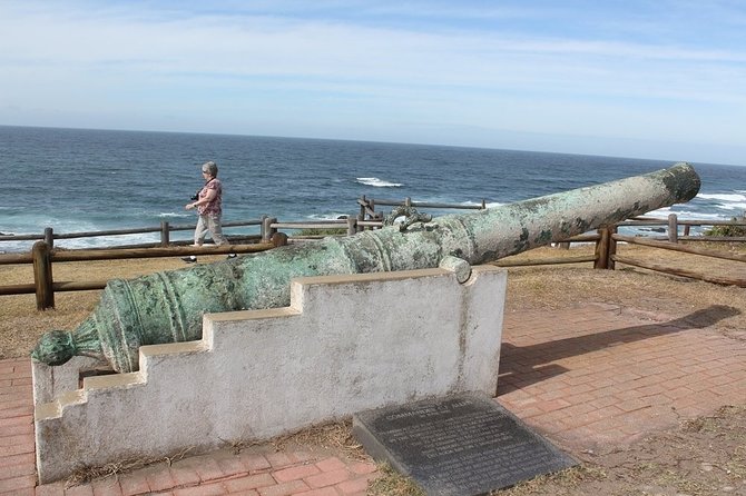 Port Elizabeth Wildside Scenic Drive - FD17 - Light lunch plus a dunes-and-beach viewpoint you can actually reach