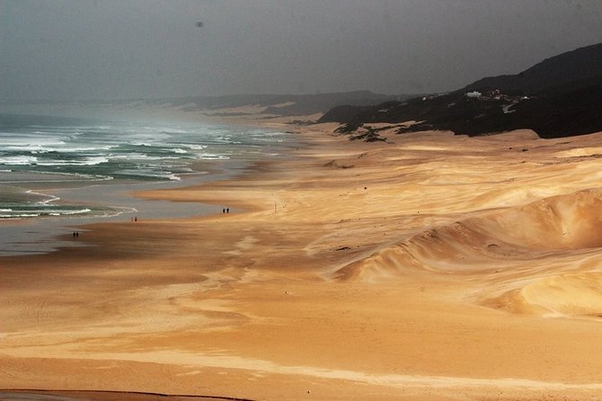 Port Elizabeth Wildside Scenic Drive - FD17 - Price and value: what $125.31 buys you in a single day