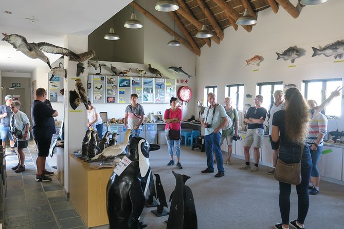 Port Elizabeth Wildside Scenic Drive - FD17 - Who this tour suits best, and who might skip it