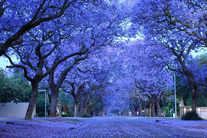 Pretoria Capital City Tour from Pretoria, every TUESDAY - Union Buildings on Meintjieskop: views, gardens, and the seat of government