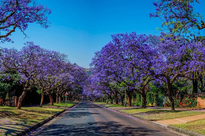 Pretoria City and Diamond Mine Tour - Price and value: why $118.09 can make sense