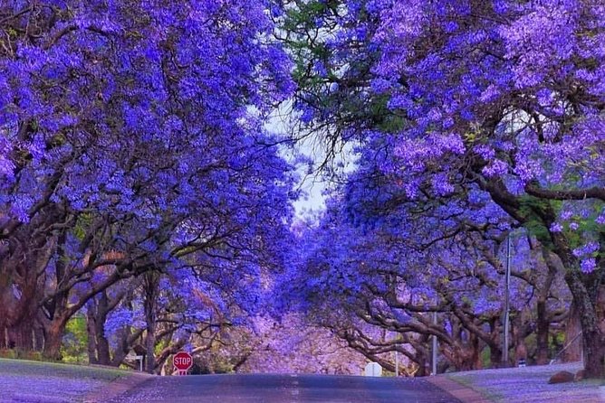 Pretoria city tour - Price and Value For A 5-Hour Private Tour With Pickup
