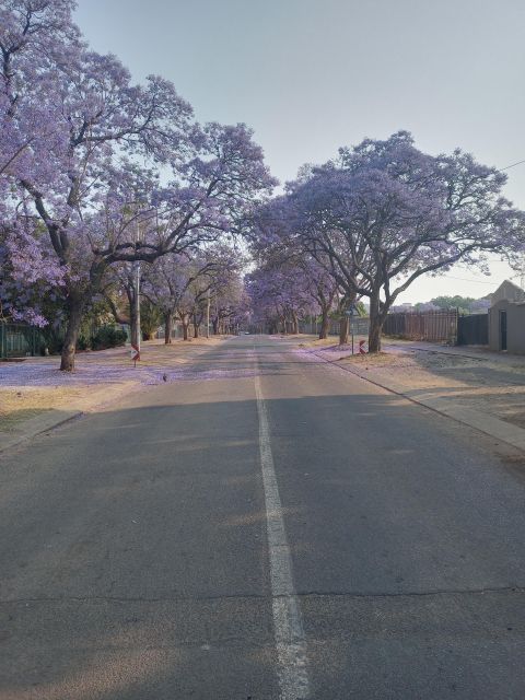 Pretoria half day tour - Should You Book This Pretoria Half-Day Tour?