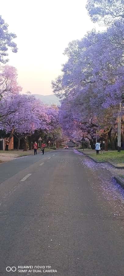Pretoria: Pretoria City Tour and Cullinan Diamond Mine Tour - Union Buildings, seen from the right angle