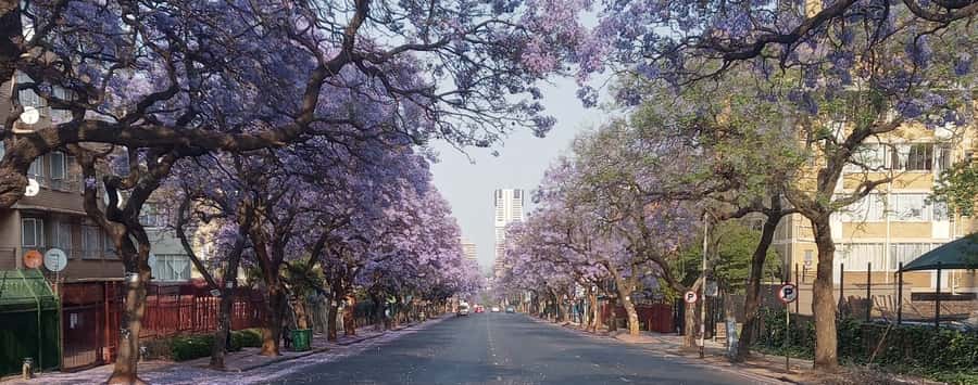 Pretoria: Pretoria City Tour and Cullinan Diamond Mine Tour - Why this tour feels good value at $105 per person