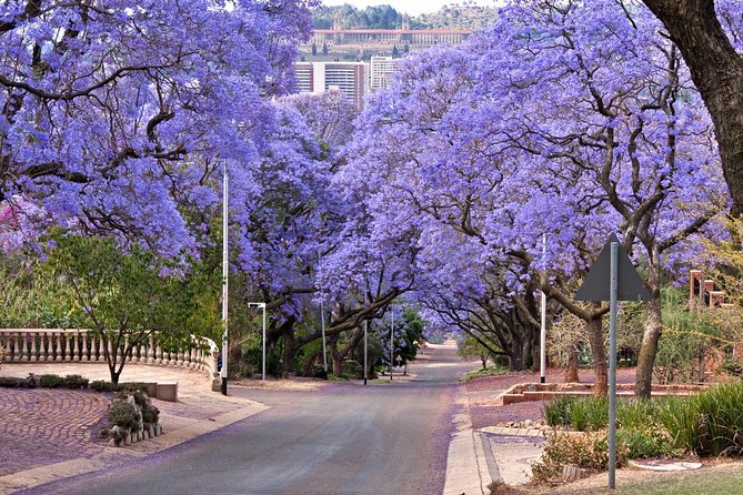 Pretoria Sightseeing Day Trip from Johannesburg - Getting There From Johannesburg: Pickup Timing and a Smooth Start