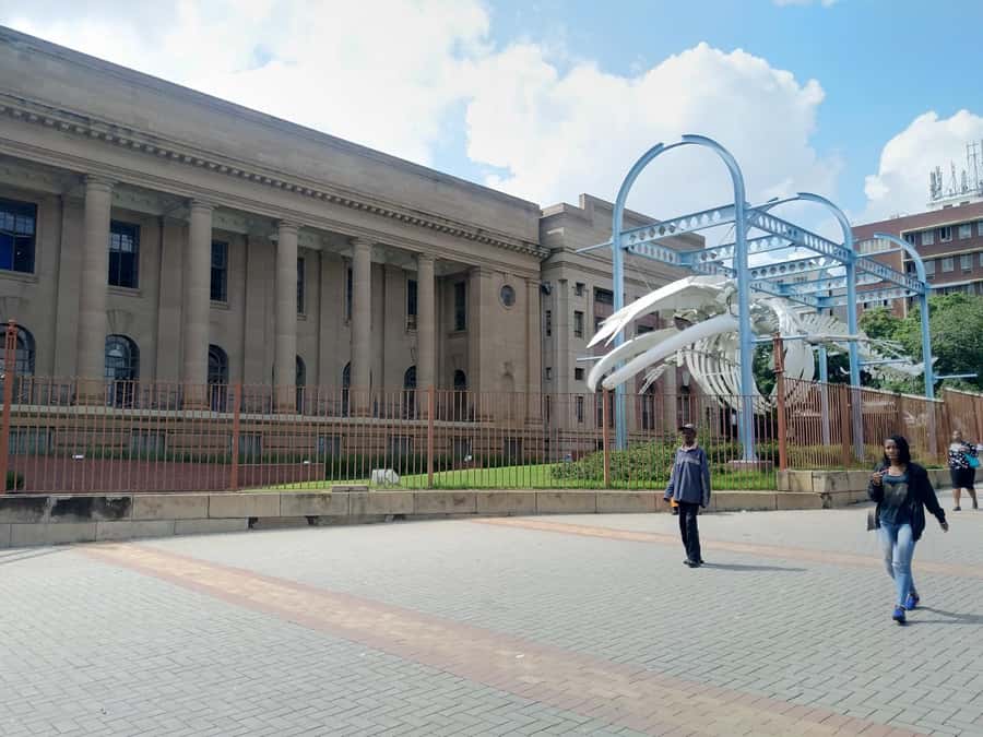 Pretoria Soweto And Johannesburg - Johannesburg Intro: Downtown Reality and Hillbrow Sightseeing