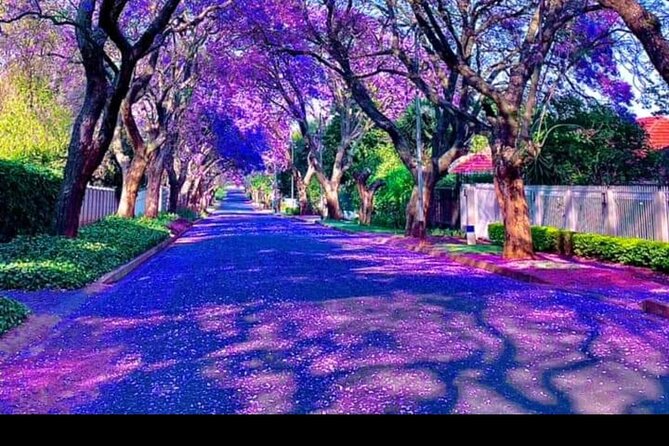 Pretoria tour, Half Day experience - Pretoria’s civic landmarks: City Hall, the clock tower, and 32 bells