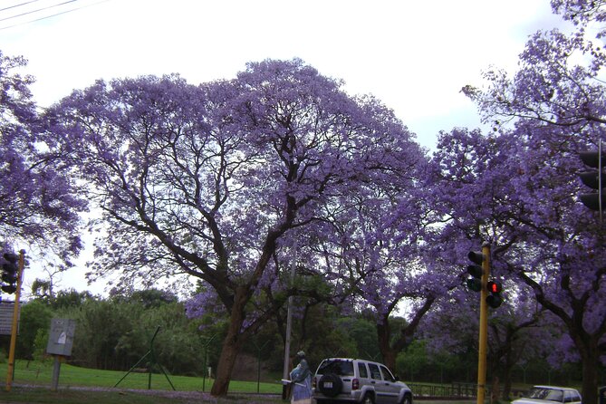Pretoria tour, Half Day experience - Union Buildings on Meintlies Kop: government, design, and a long view