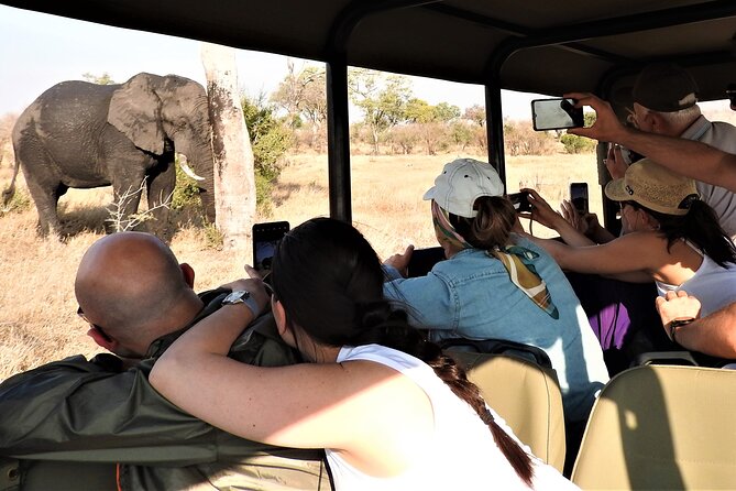 Private 4x4 Safari Tour in Kruger National Park - Key highlights at a glance