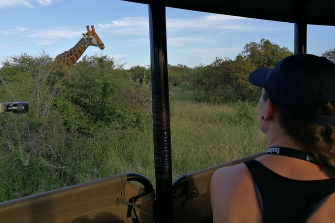 Private 5-Day Overnight Safari In Kruger Park from Skukuza Airport - Meals and comfort: plan to self-manage most eating