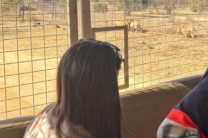 Private 5-Hour Lion Park Tour from Johannesburg or Pretoria - Hand feeding, Cub World, and keeping the experience safe and respectful