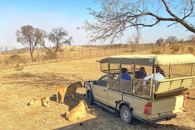 Private 5-Hour Lion Park Tour from Johannesburg or Pretoria - What you get for your money, and what you have to handle yourself