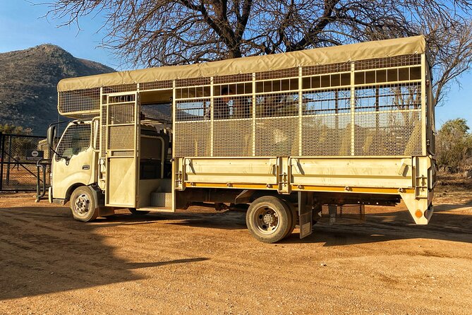 Private 5-Hour Lion Park Tour from Johannesburg or Pretoria - Lion and Safari Park: more than just a lion photo stop