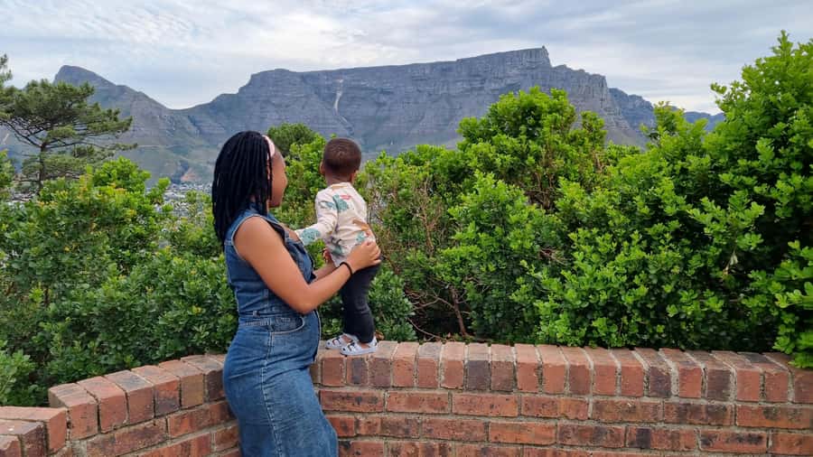 Private Cape of Good Hope and Penguins Full-Day Tour - Chapmans Peak drive, Hout Bay Harbour, and the Duiker Island option