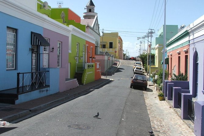Private Cape of Good Hope and Penguins tour from Stellenbosch. - Private Cape of Good Hope day, built around easy driving and real stops