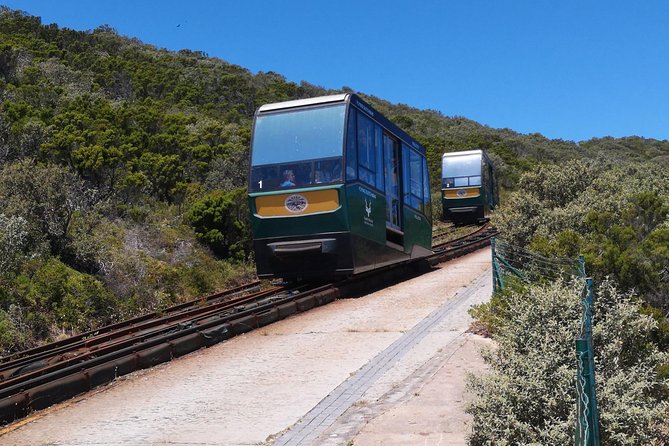 Private Cape of Good Hope and Penguins tour from Stellenbosch. - Cape Point Nature Reserve: wildlife odds plus big-name Cape stories
