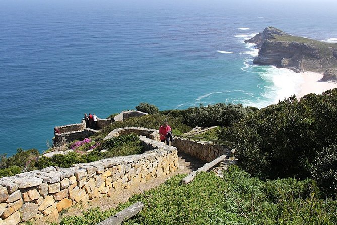 Private Cape of Good Hope and Penguins Tour with Luxury Mercedes or BMW Vehicle - Chapman’s Peak Drive Viewpoint Time and Cape Point Vineyards Tasting