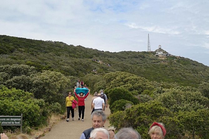 Private Cape of Good Hope Cape Point Penguin Kirstenbosch Tour. - Scarborough, Misty Cliffs, and the Groote Schuur Detour