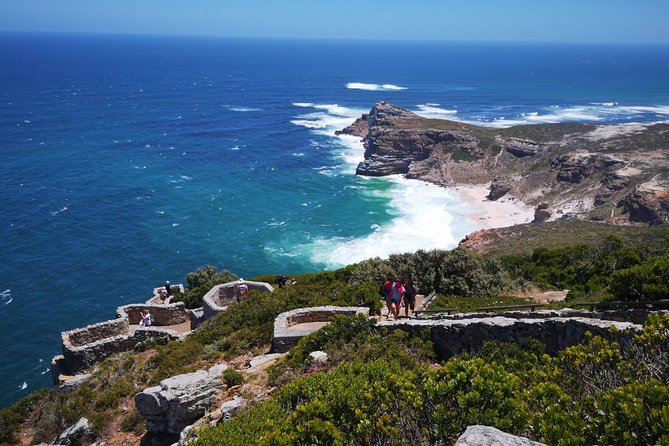 Private Cape of Good Hope Cape Point Penguins KirstenboschTour. - Boulders Beach Penguins: Short, Focused, and Worth It