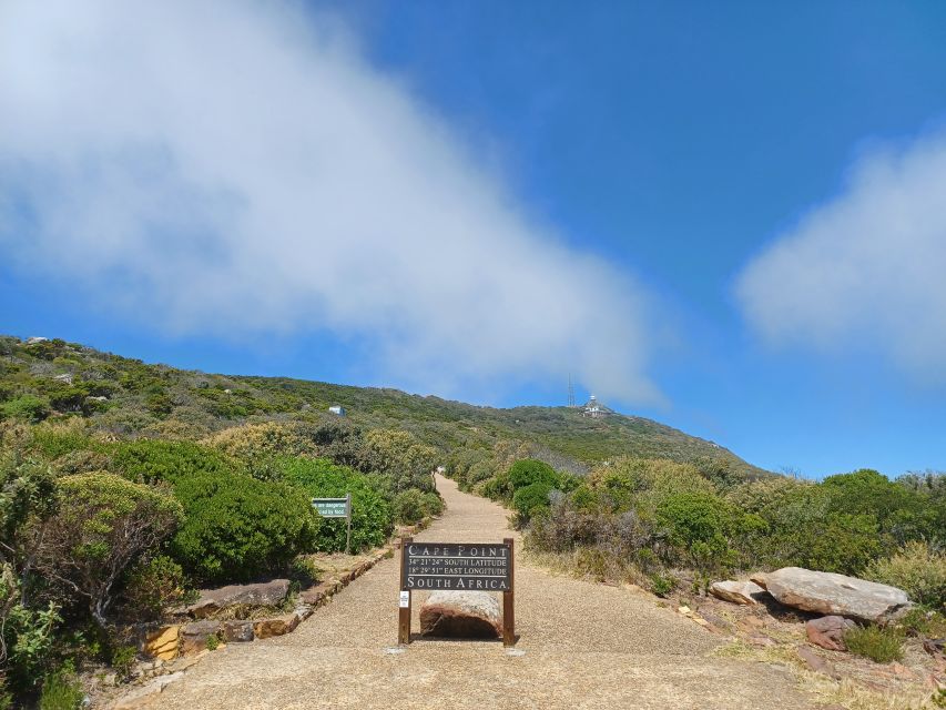 Private Cape of Good Hope Guided Tour - Chapmans Peak Drive, when the road becomes the attraction