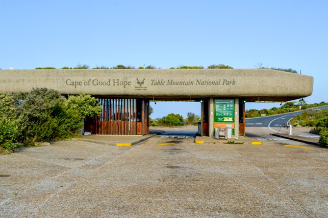 Private Cape of Good Hope Sightseeing and African Penguin Tour - Why This Private Cape Peninsula Day Feels Worth It
