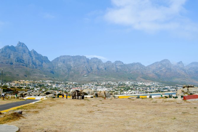 Private Cape of Good Hope Sightseeing and African Penguin Tour - Hout Bay Harbor, Duiker Island, and Cape Fur Seals